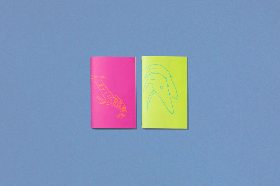 notebooks